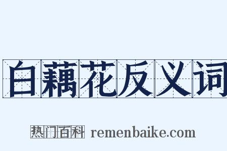 白藕花反义词是什么意思的图片